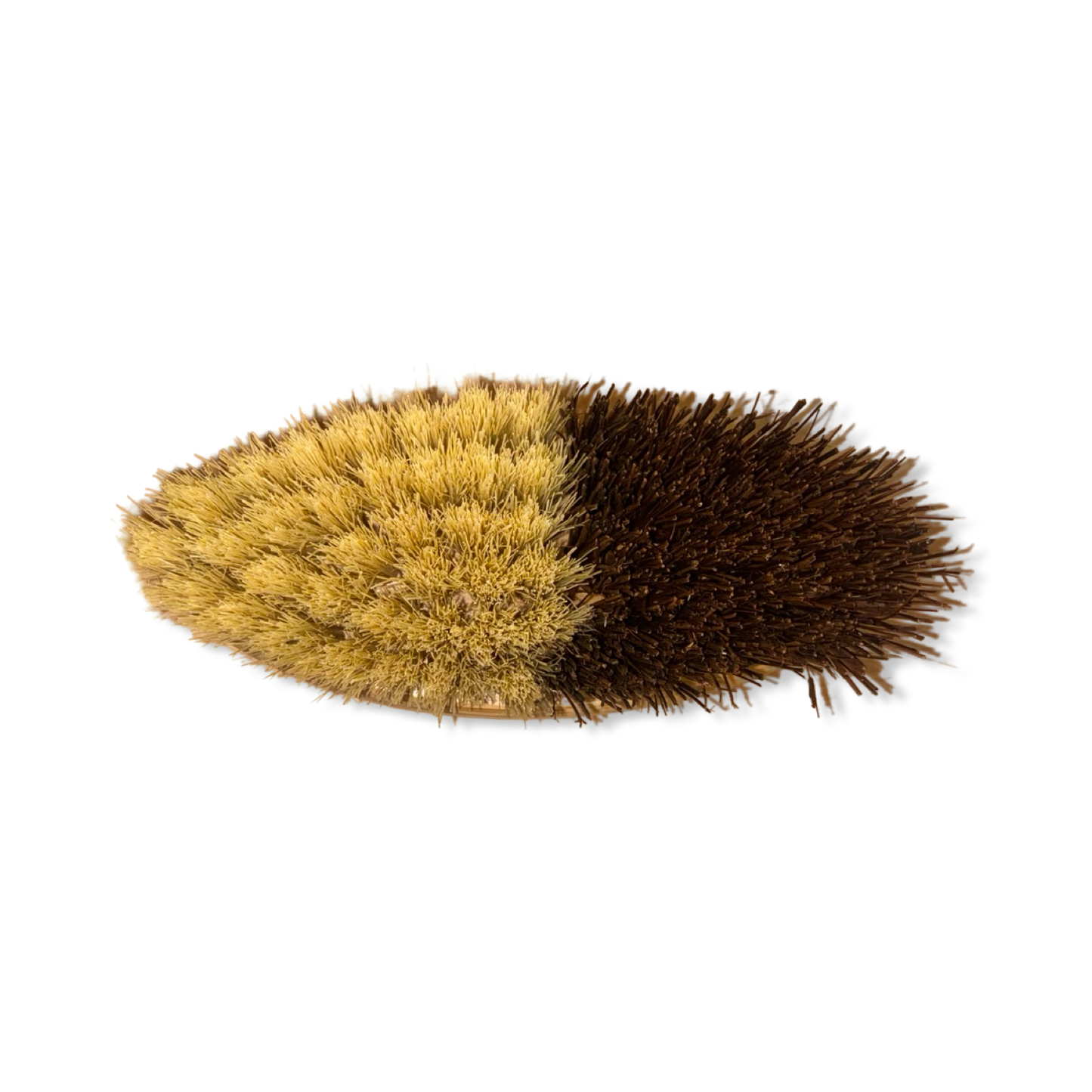 Two-in-One Multipurpose Scrub Brush - ME Mother Earth