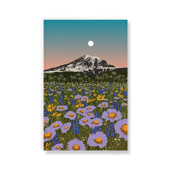Notebooks - Denik