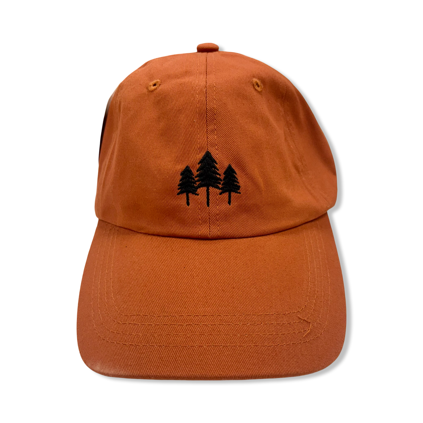 Dad Hats - The Montana Scene