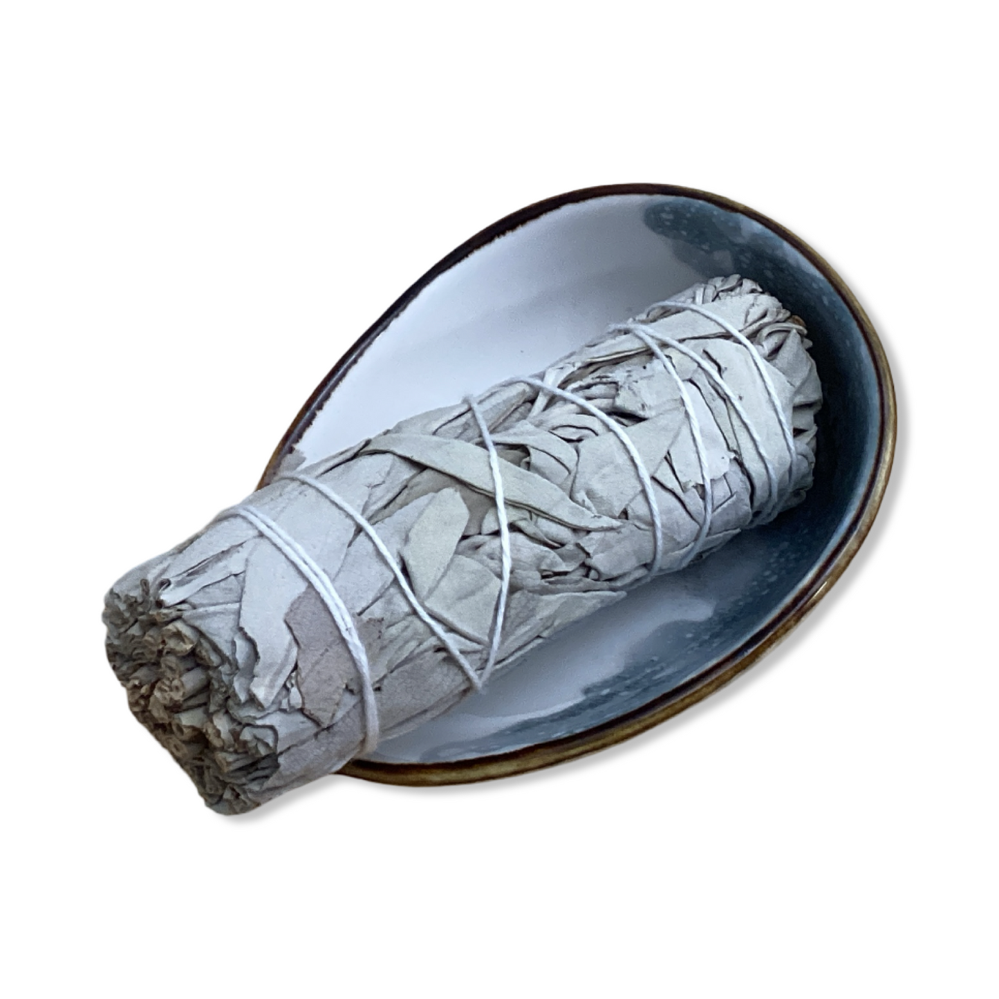Ceramic Abalone Dish - Picki Nicki