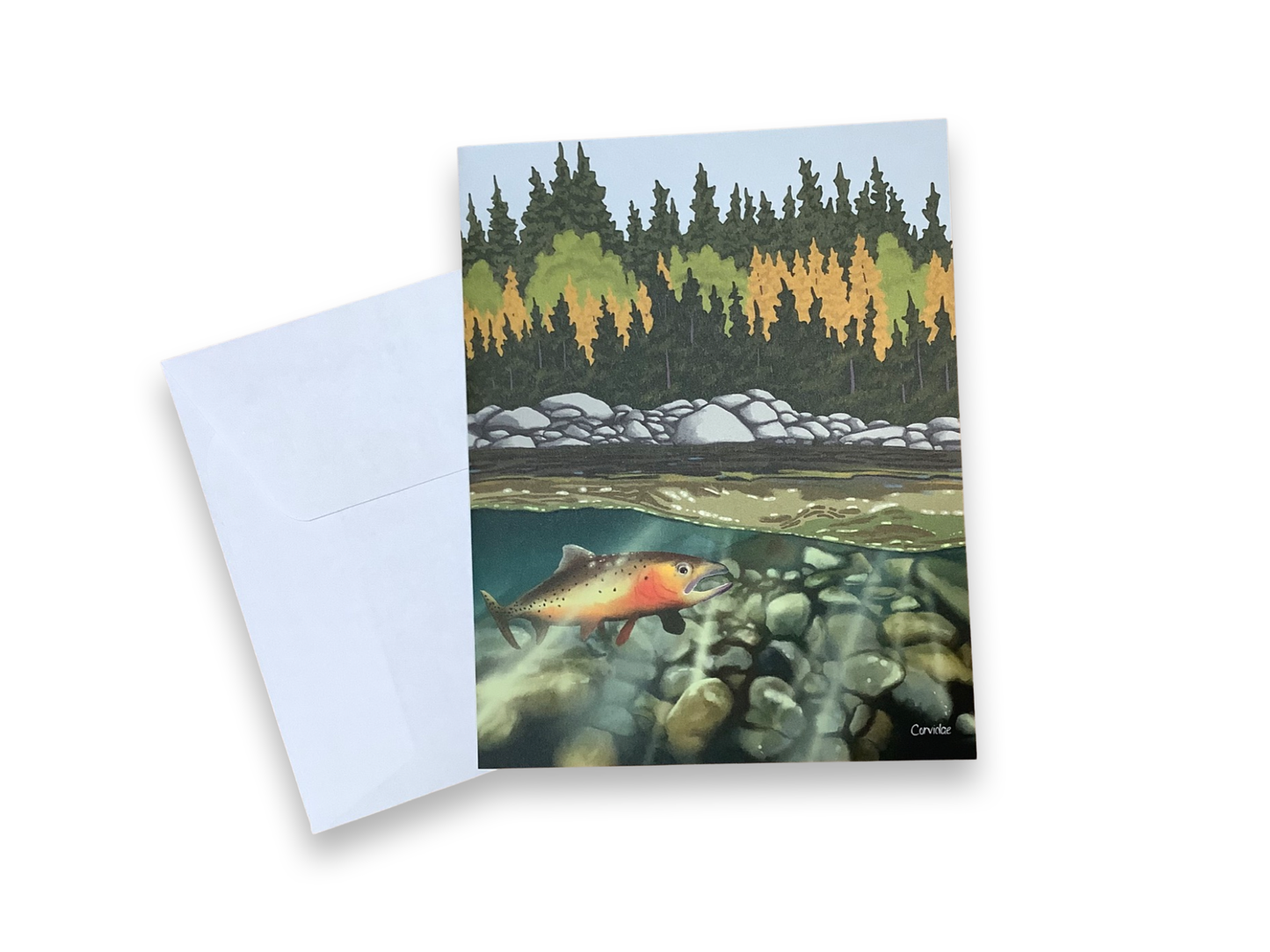 Note Cards - Corvidae
