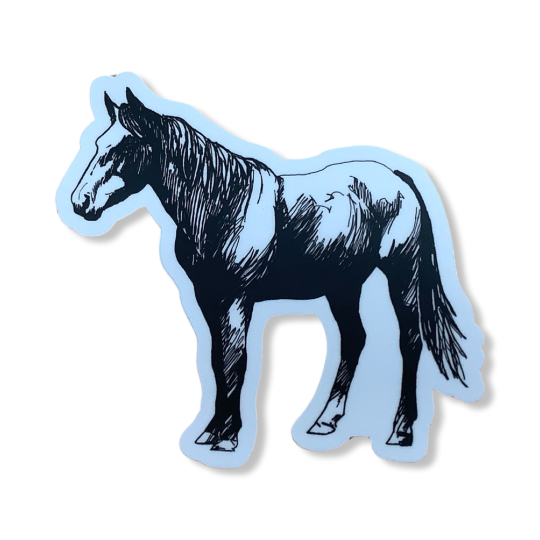 Stickers - Corvidae