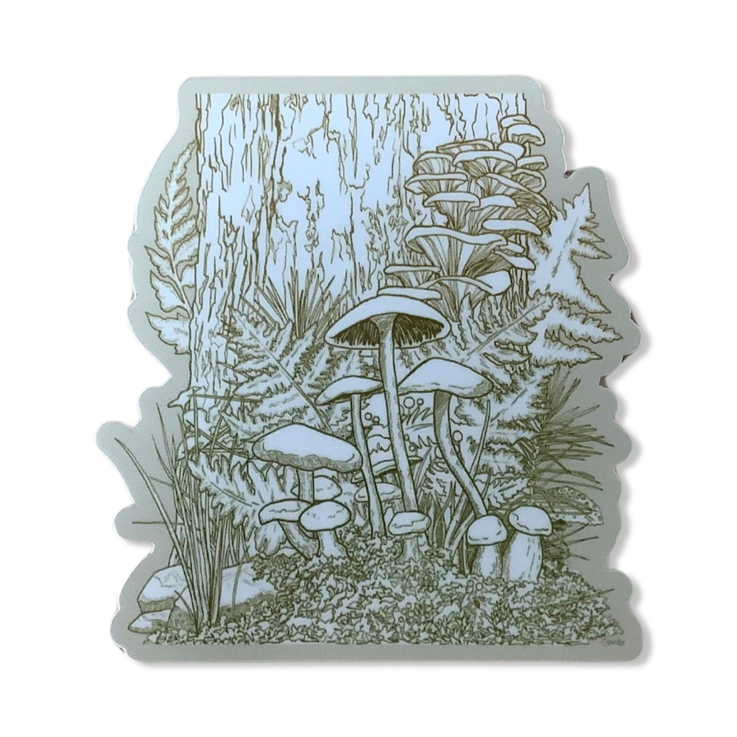 Stickers - Corvidae