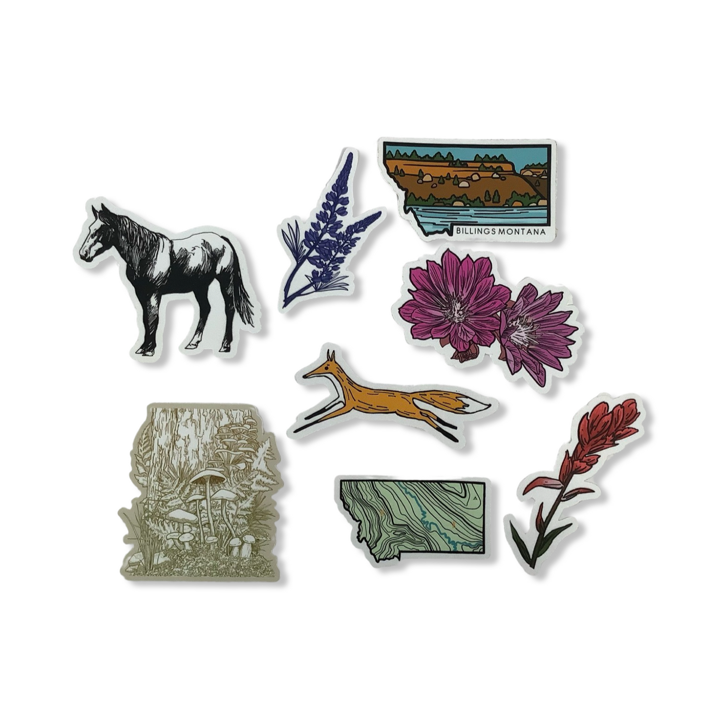 Stickers - Corvidae