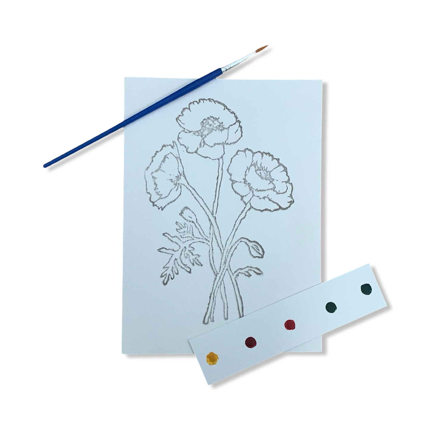 Watercolor Art Card Kit - Ashes & Arbor