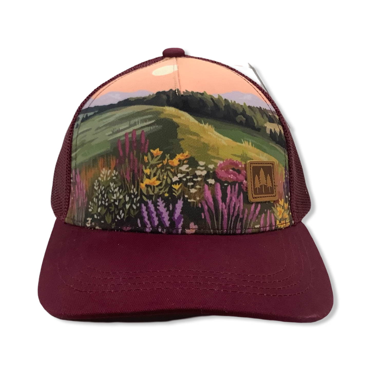 Trucker Caps - Montana Scene