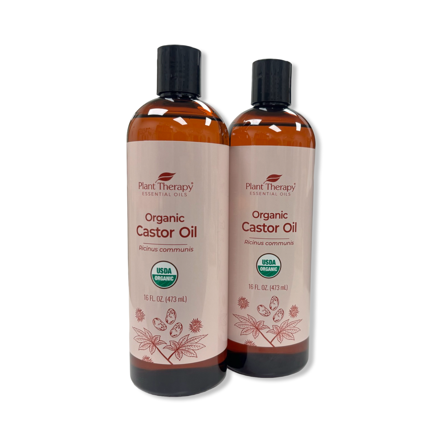 Organic Castor Oil - Plant Therapy
