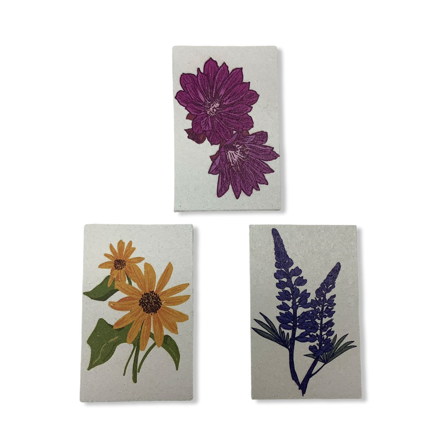 Wildflower Pop Up Sponges-Corvidae