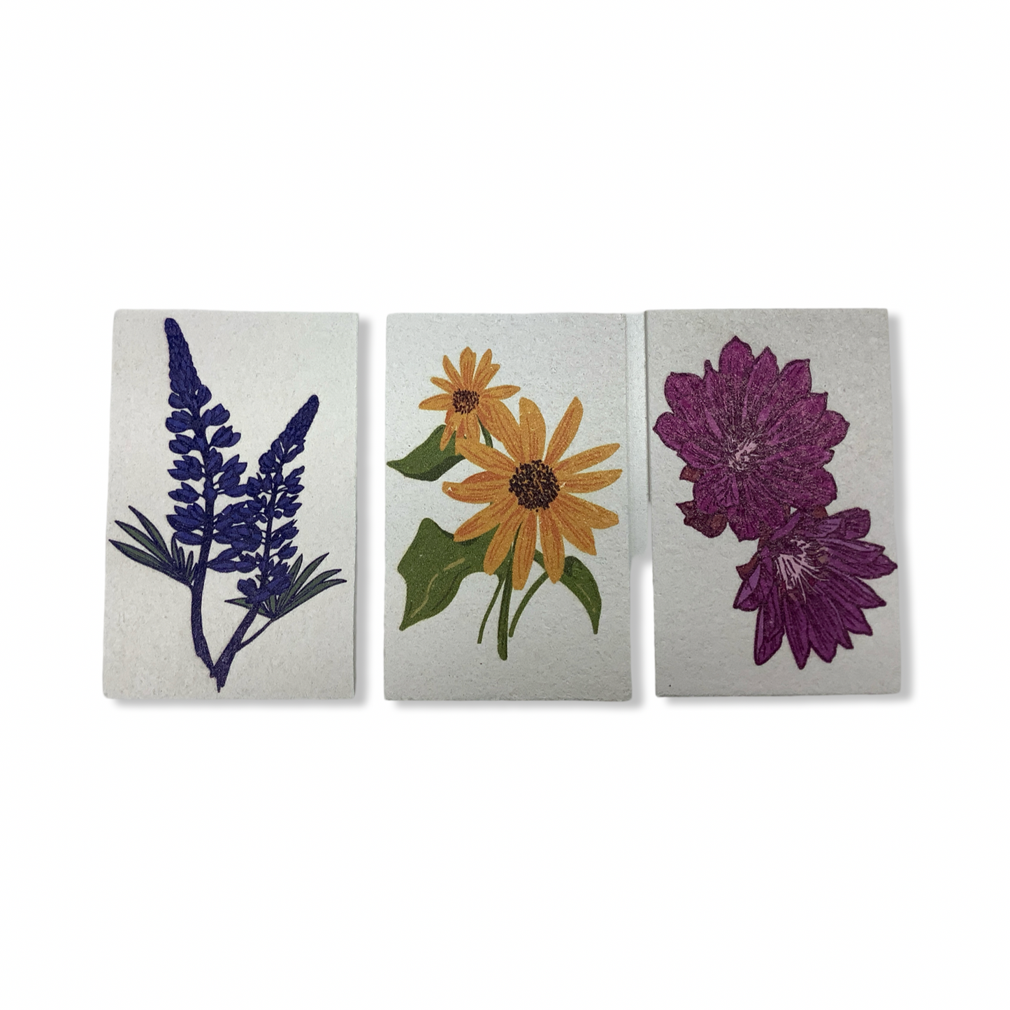 Wildflower Pop Up Sponges-Corvidae