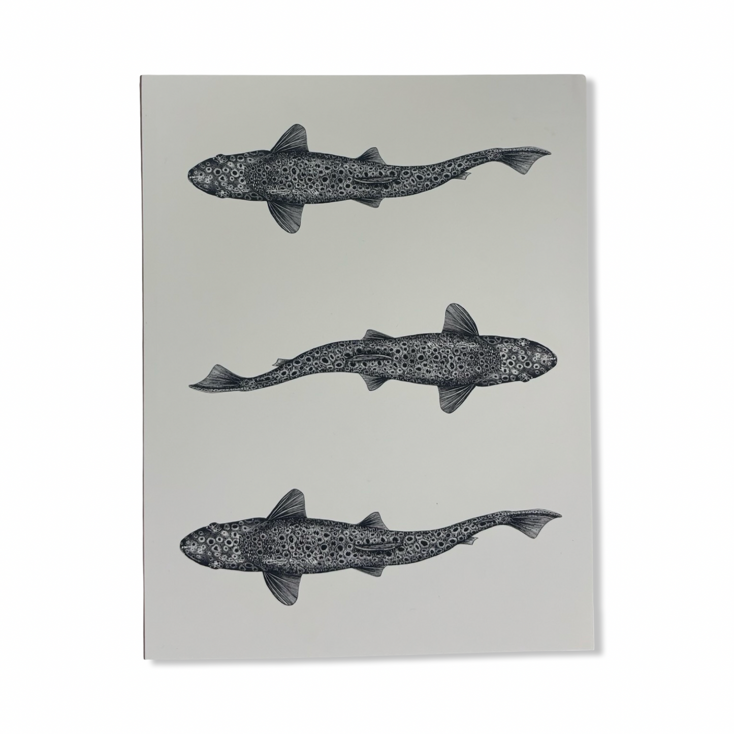 Large Layflat Notebook - Brittany Finch Art