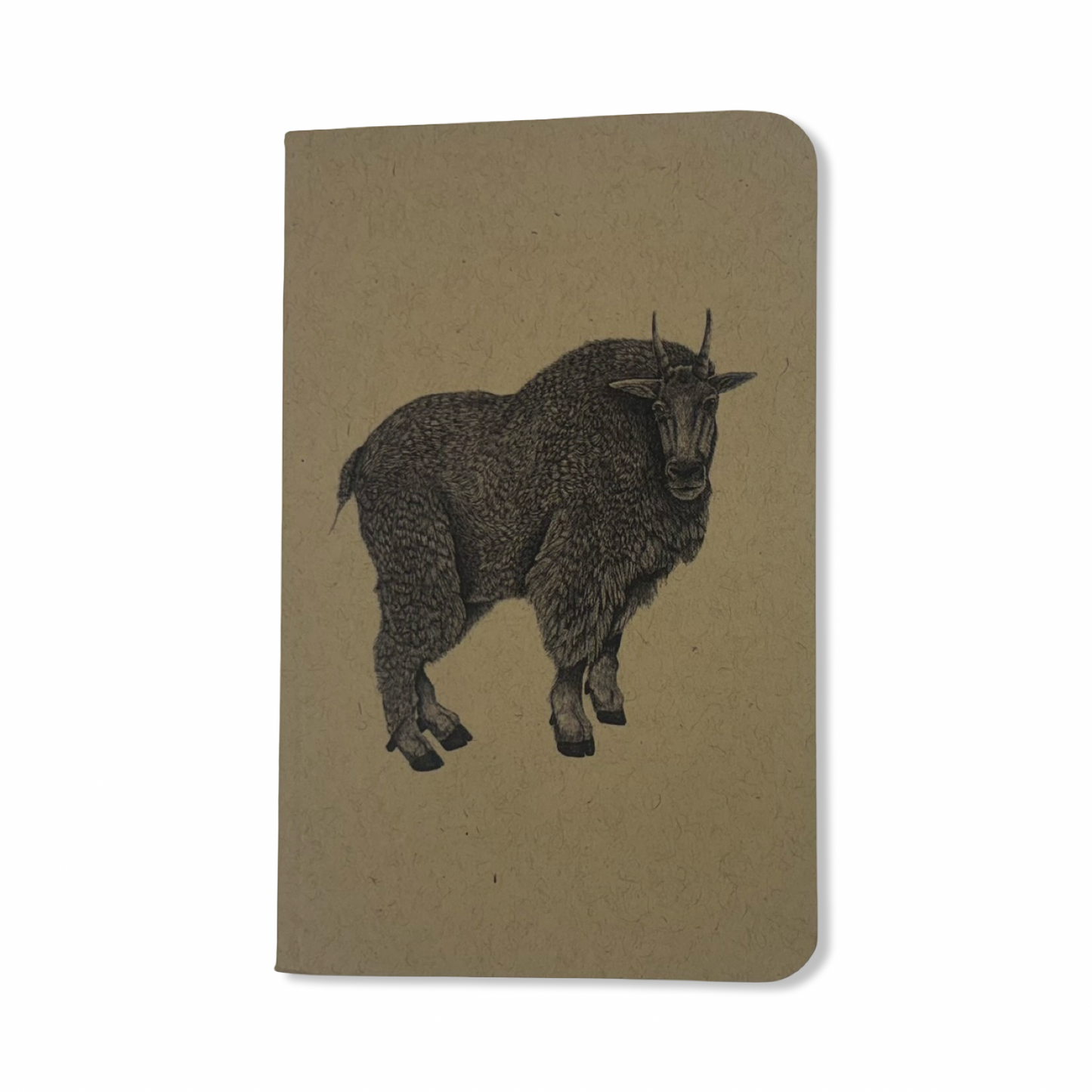 Pocket Journal - Brittany Finch Art