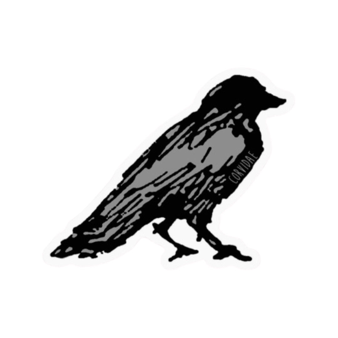 Stickers - Corvidae