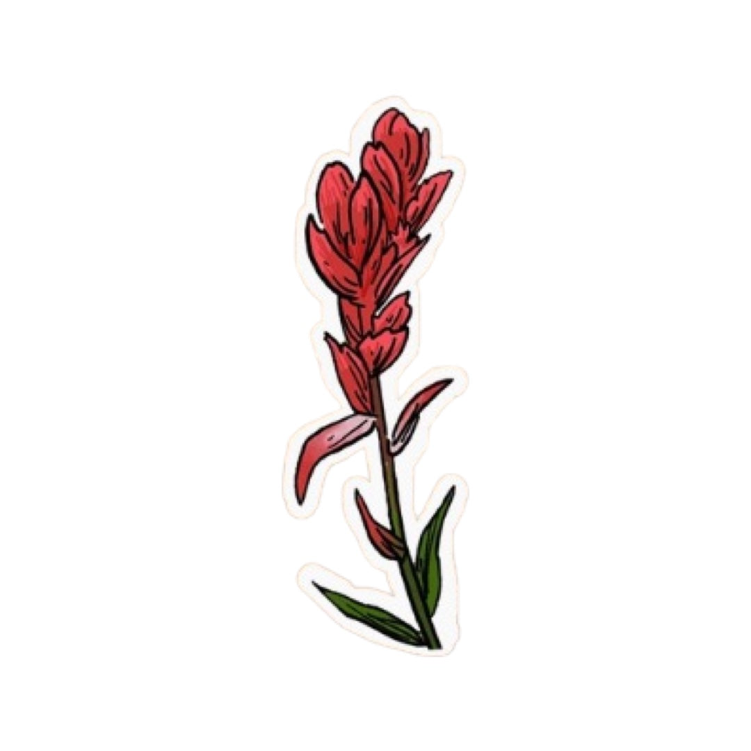 Stickers - Corvidae