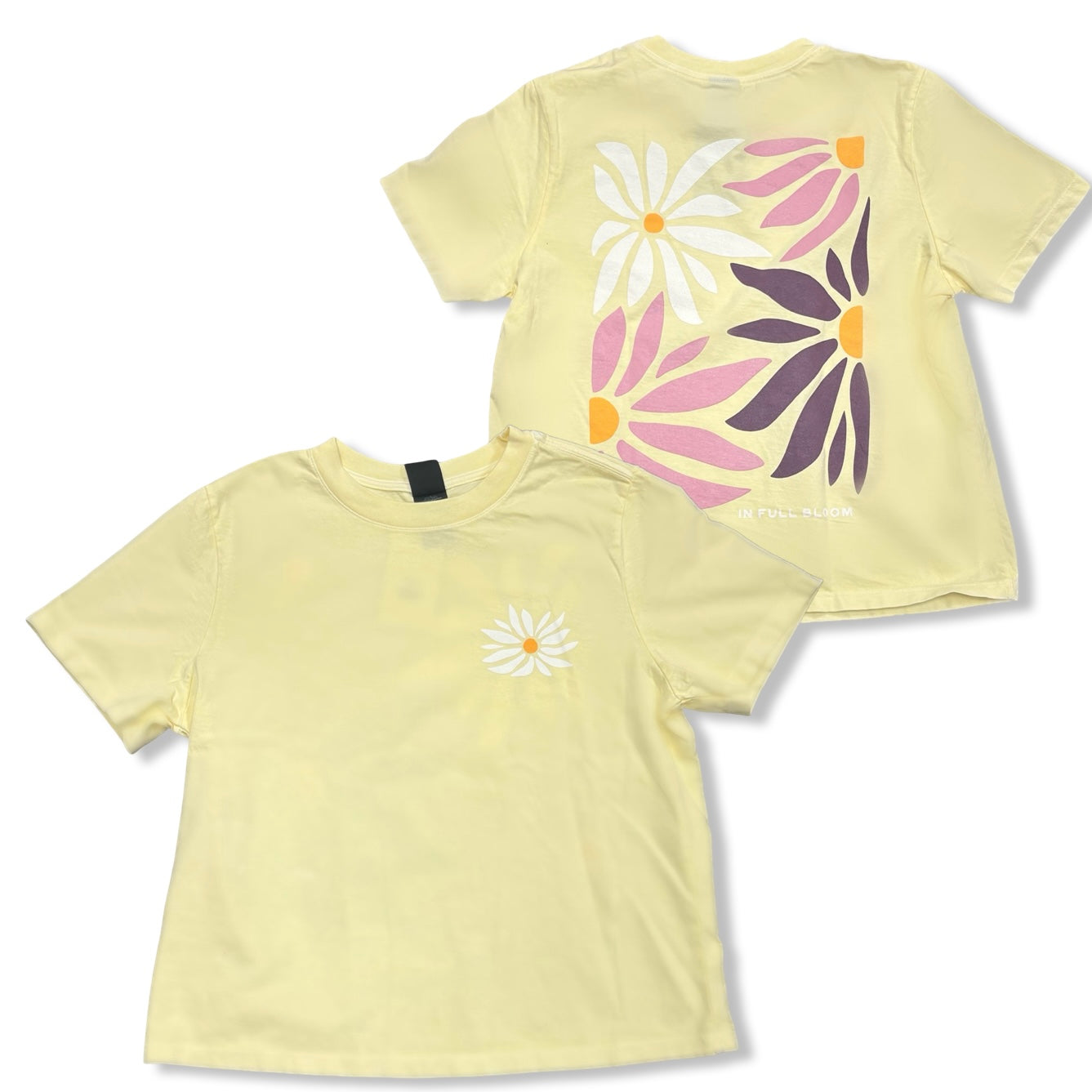 In Full Bloom T - The Montana Scene