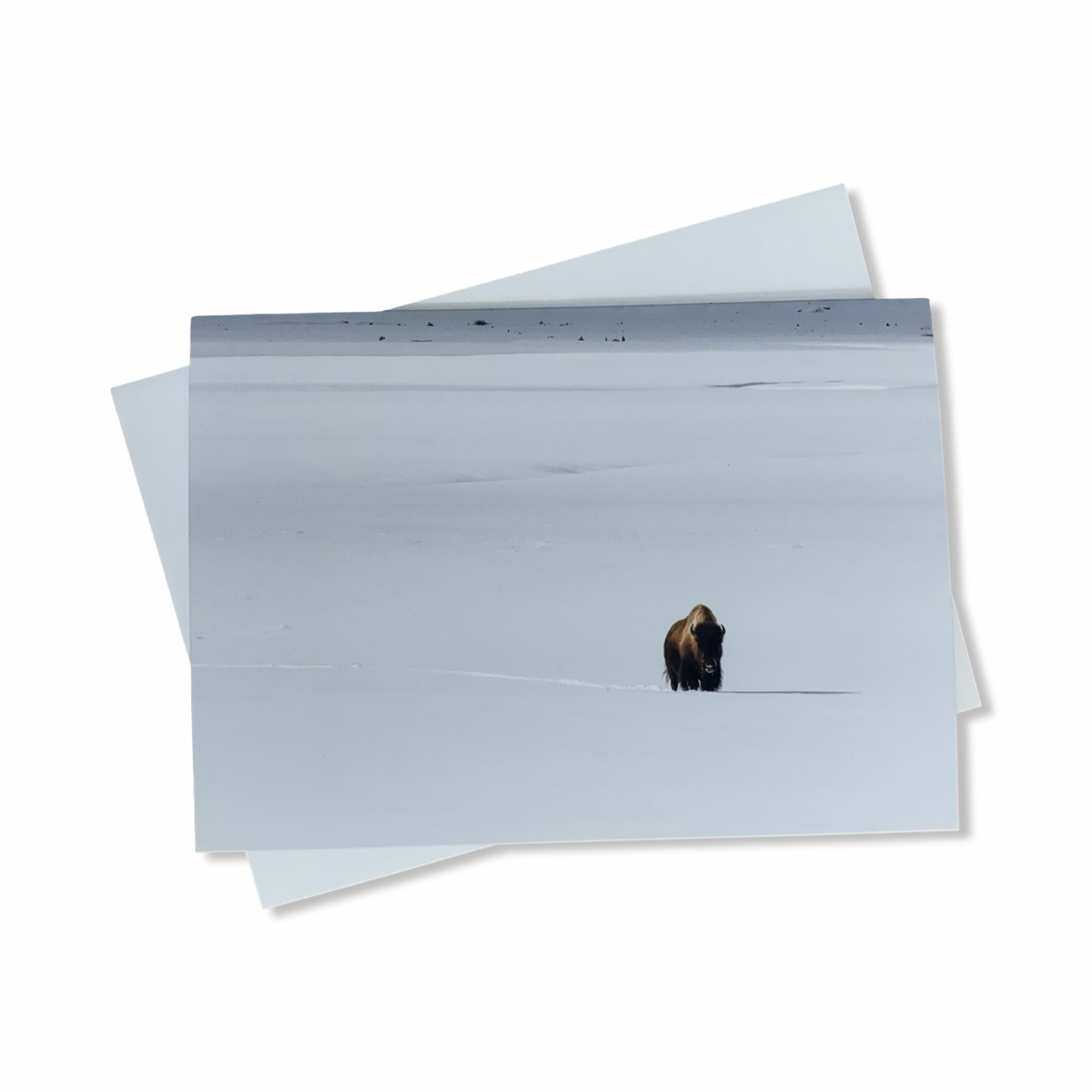 Greeting Cards - Alexis Bonogofsky