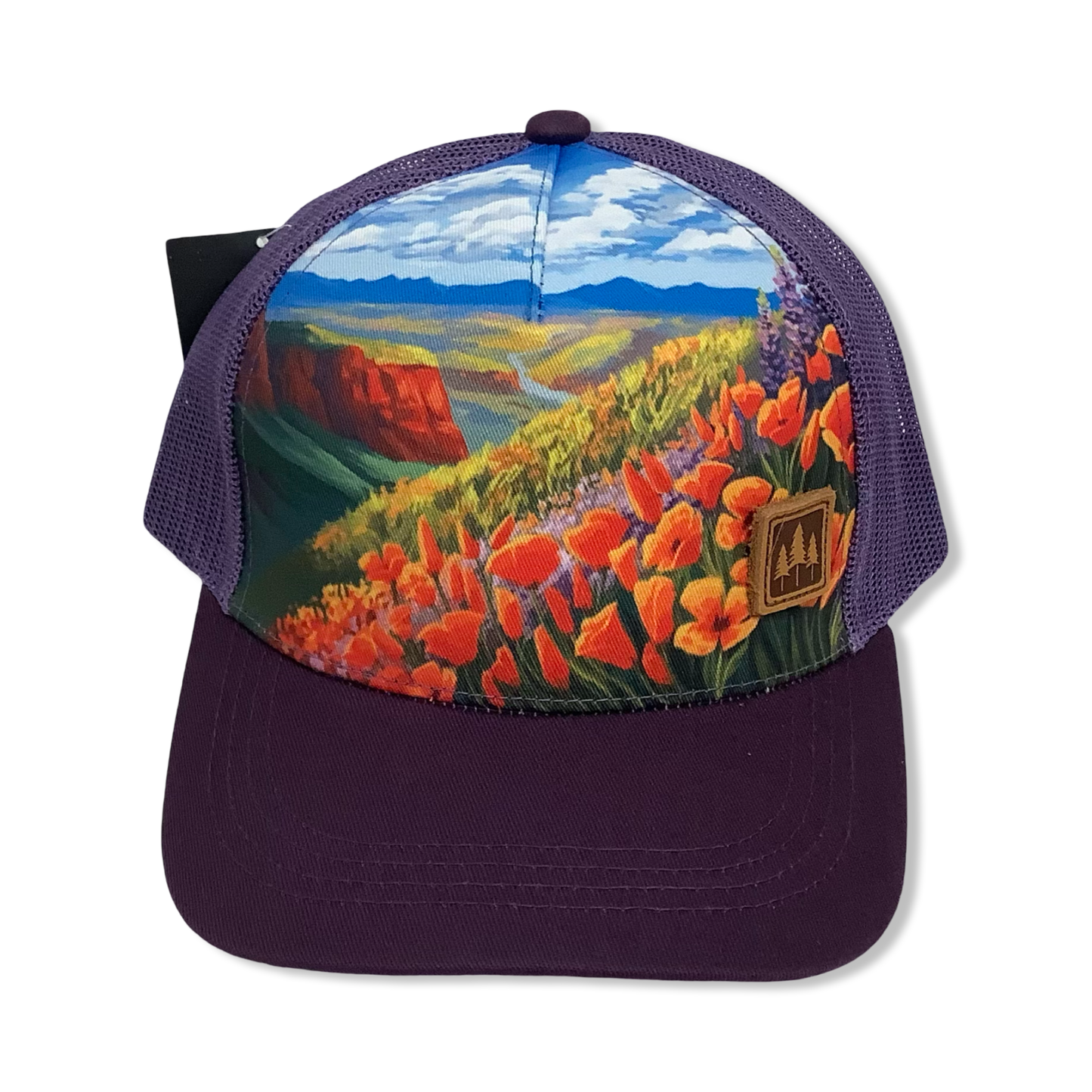 Trucker Cap - Montana Scene