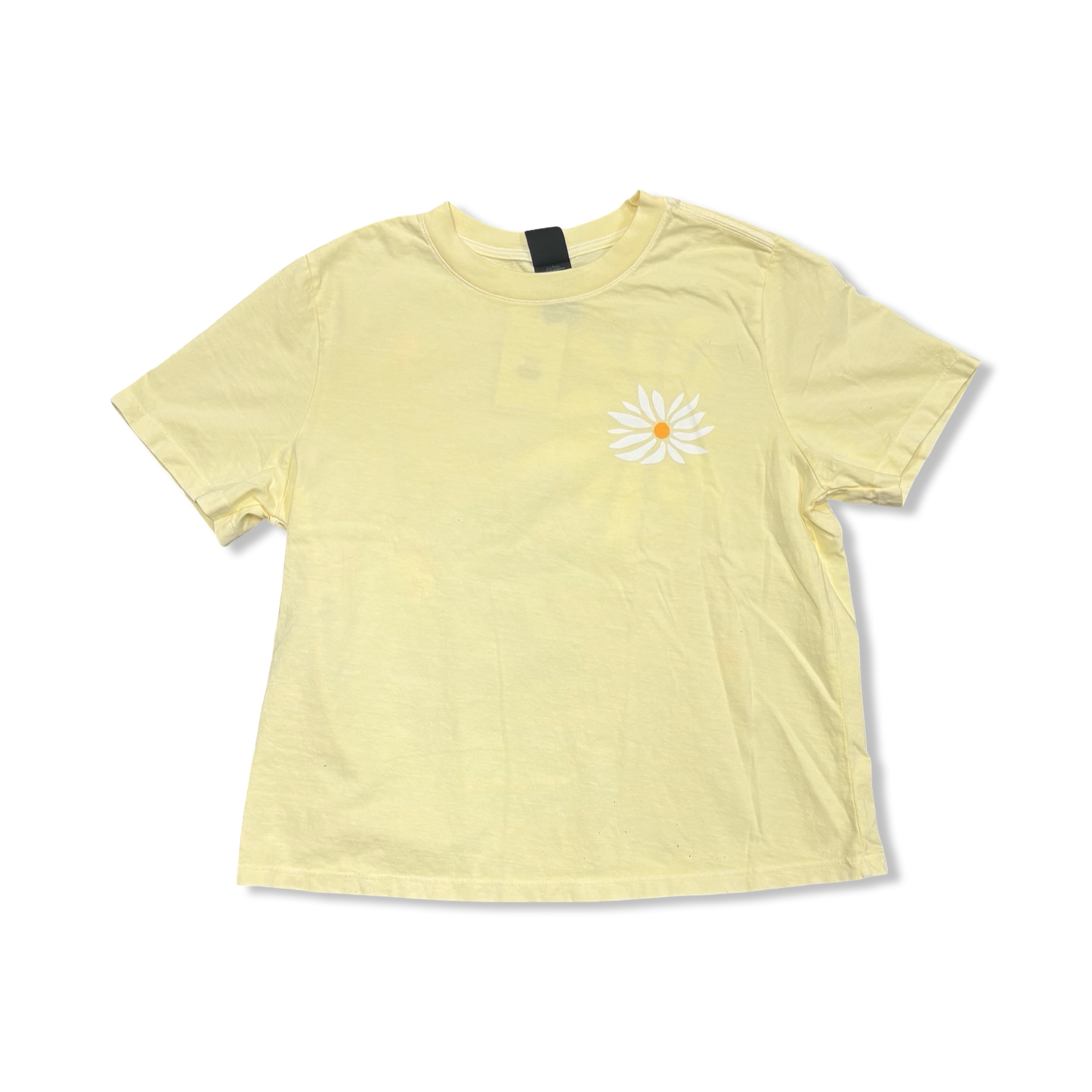 In Full Bloom T - The Montana Scene