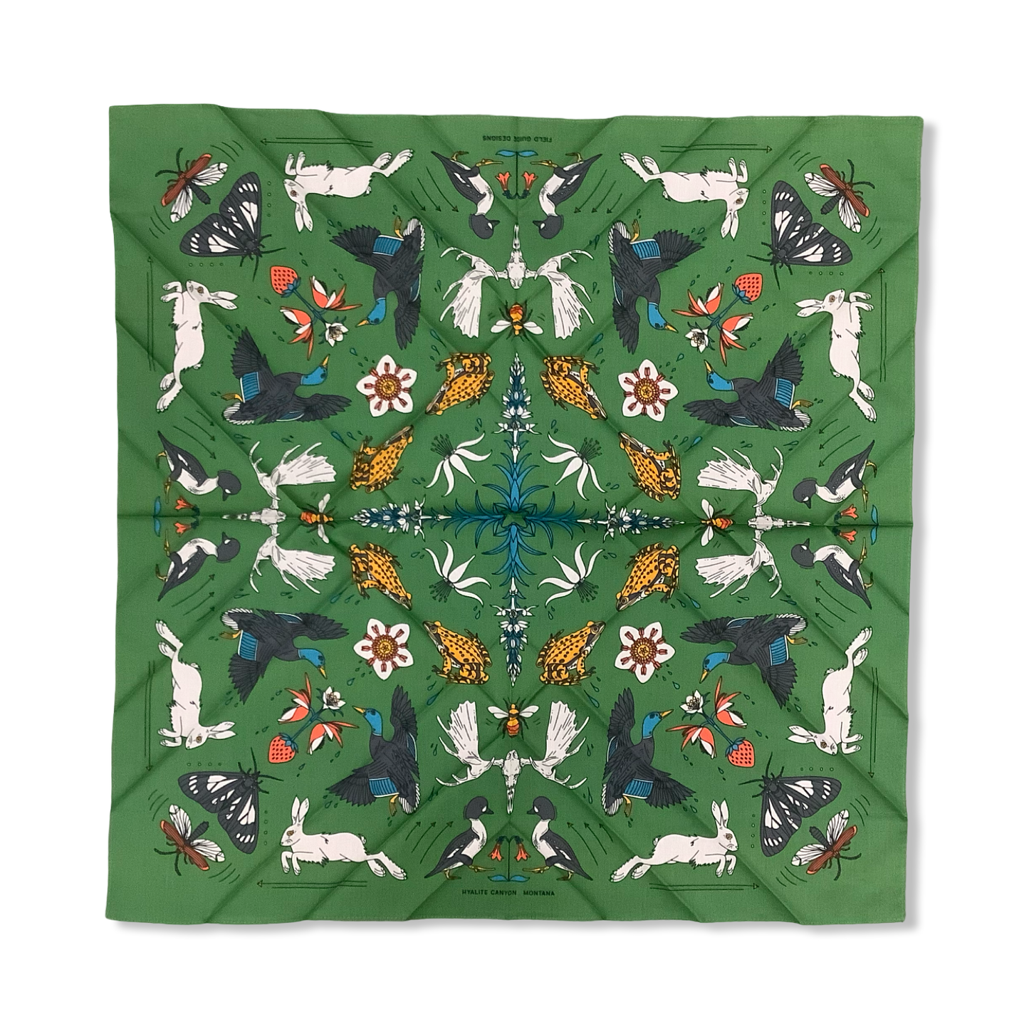 Bandana - Field Guide Designs