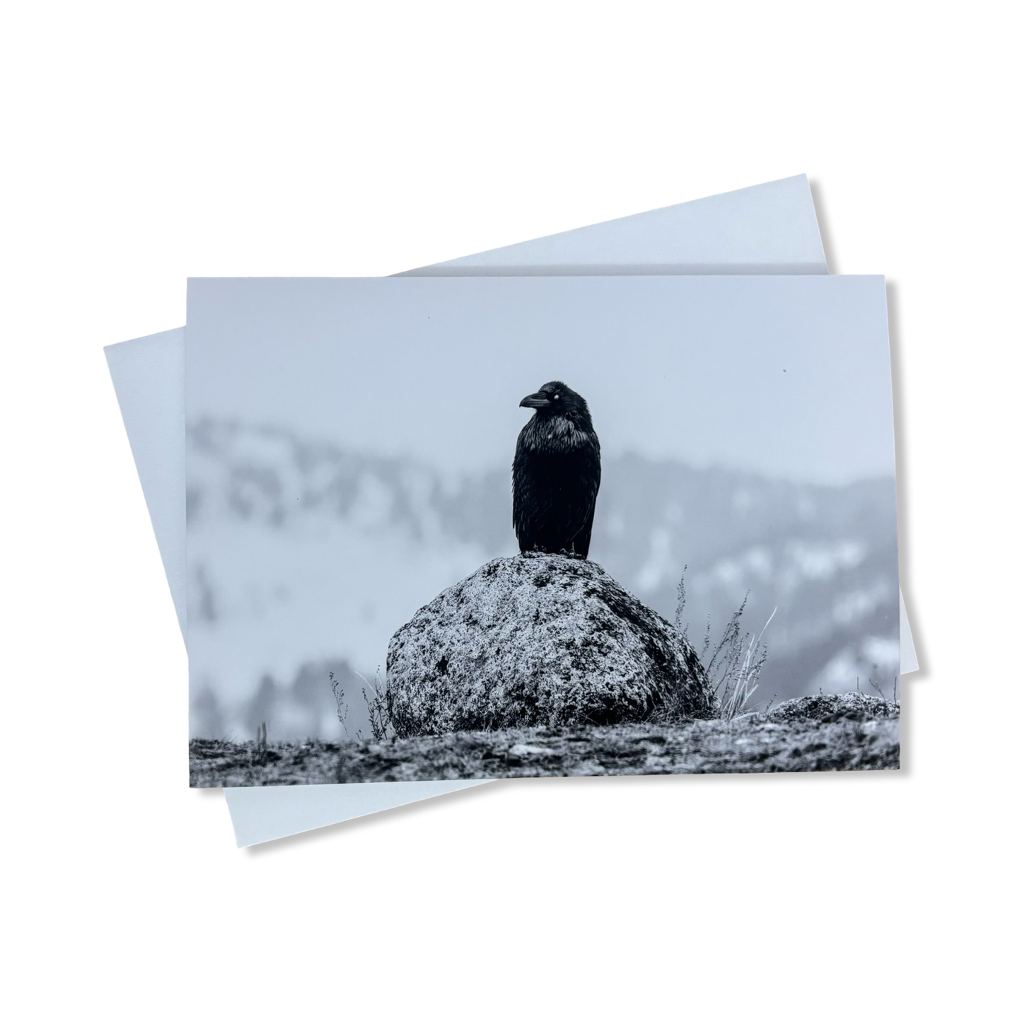 Greeting Cards - Alexis Bonogofsky