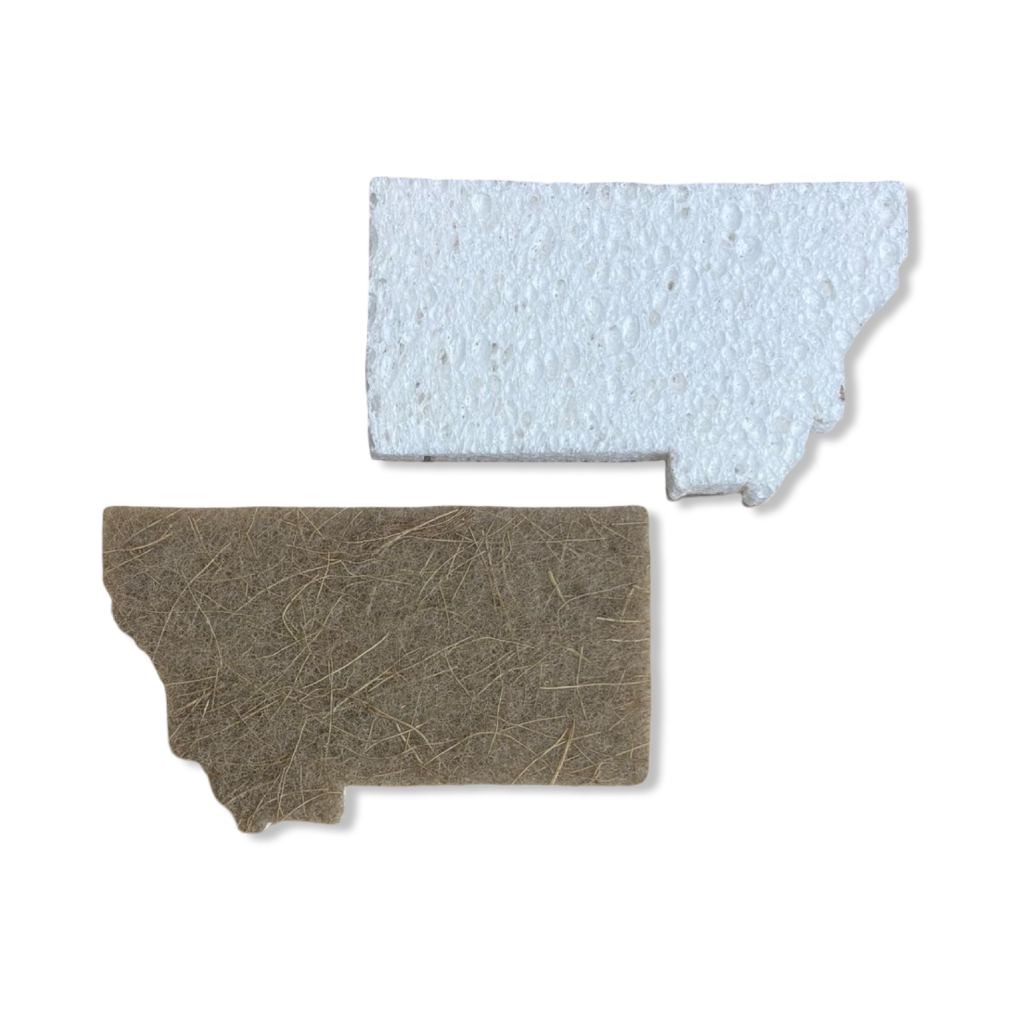 Montana State Scrubby Sponge - Corvidae