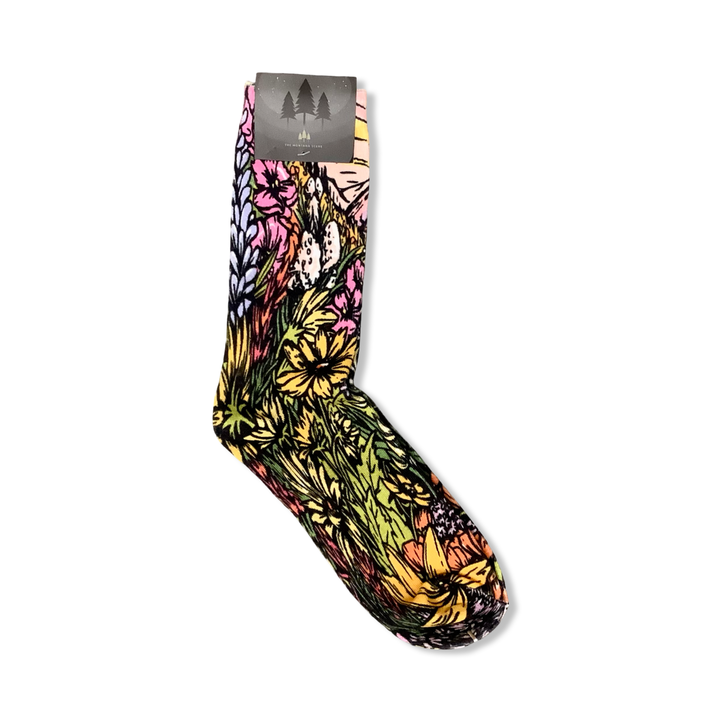 Socks - The Montana Scene