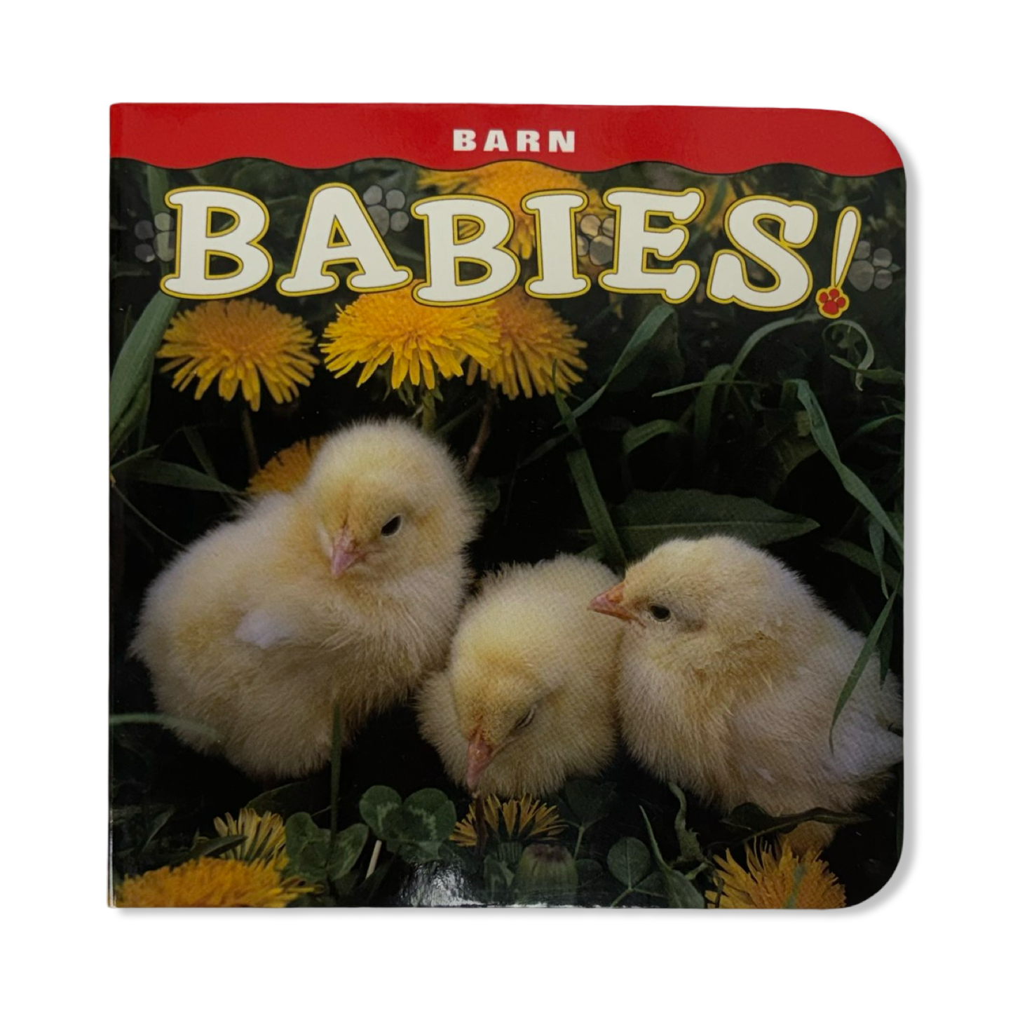 Babies Books - Farcountry Press